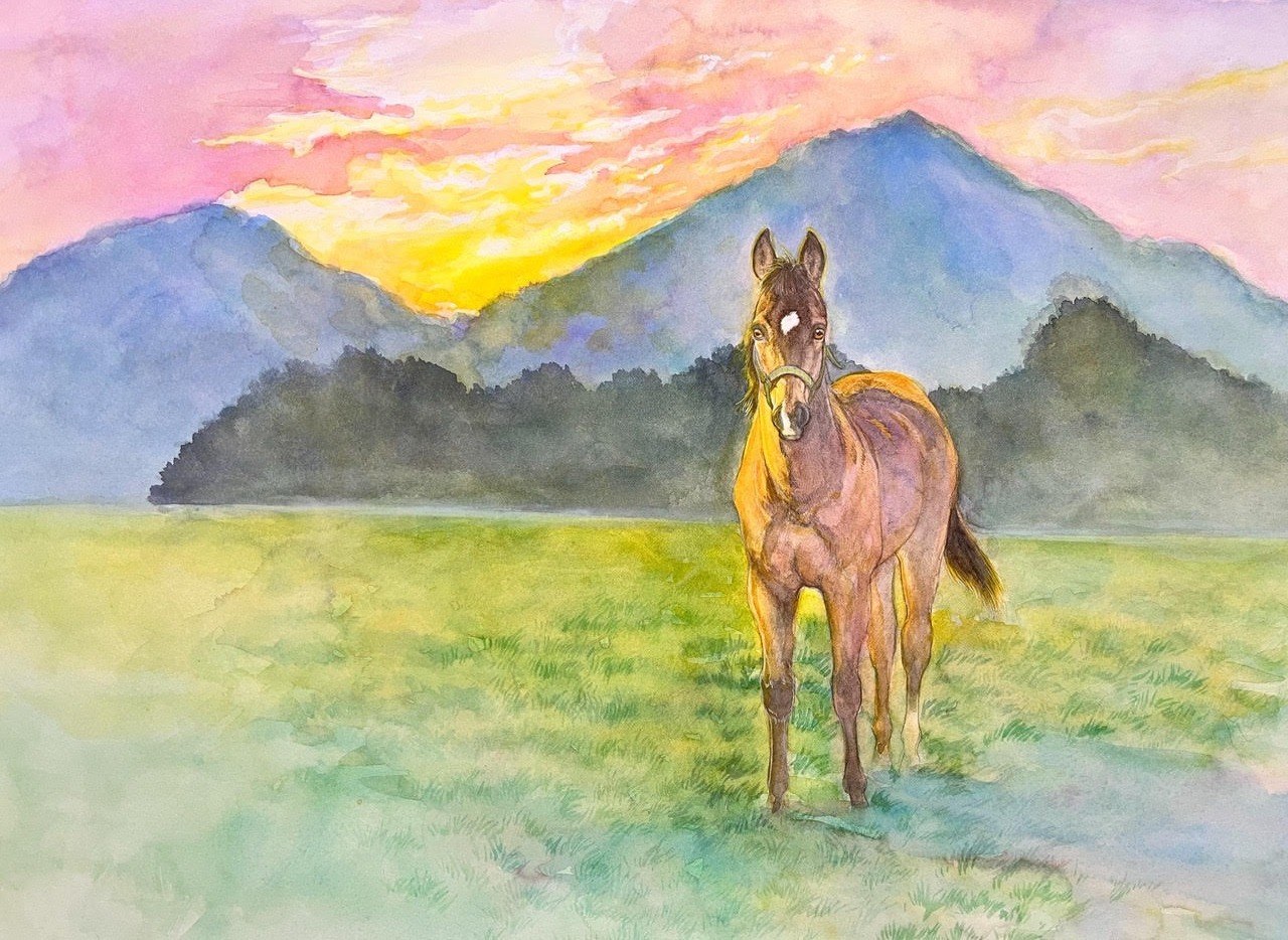夕焼けの山を背に、草原にひとりで立つ若駒